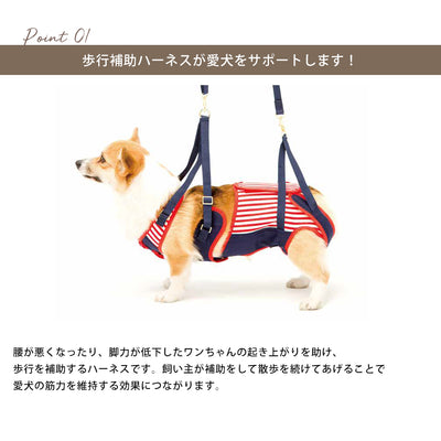 歩行補助 ハーネス コーギー用 セーラーマリン | 犬 ハーネス 介護 ペット コーギー 散歩 おでかけ 歩行サポート 愛犬 おしゃれ コーギー 中型犬 サイズ調整 胴巻き ラダーフレーム