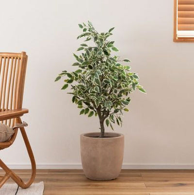 グリーンベース | プランター 植物 植木鉢 ニュアンスカラー マット くすみカラー 植え込み おしゃれ お洒落 プランターカバー 植木鉢カバー グレー ホワイト ベージュ ブラッ