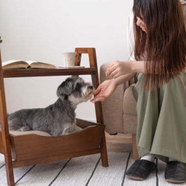 サイドテーブル サイド テーブル ペットベッド ペット 犬猫 ドッグ キャット 犬 猫 ウサギ 小動物 シンプル おしゃれ お洒落 オシャレ かわいい 可愛い シンプル 持ち手 ハンドル クッション付き 木製 天然木 花台 ディスプレイ ナチュラル ブラウン リビング インテリア 木