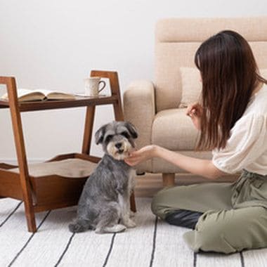 サイドテーブル サイド テーブル ペットベッド ペット 犬猫 ドッグ キャット 犬 猫 ウサギ 小動物 シンプル おしゃれ お洒落 オシャレ かわいい 可愛い シンプル 持ち手 ハンドル クッション付き 木製 天然木 花台 ディスプレイ ナチュラル ブラウン リビング インテリア 木