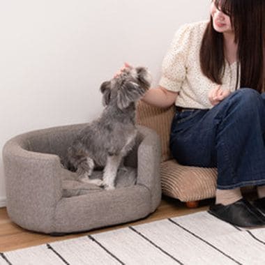 ペットソファ ソファ ペット用 ペット用品 ペット シンプル おしゃれ 北欧 愛犬 犬 猫 ドッグ キャット グレー アイボリー ファブリック 布地 クッション クッション取り外し カバーリングペットソファ グレー アイボリー