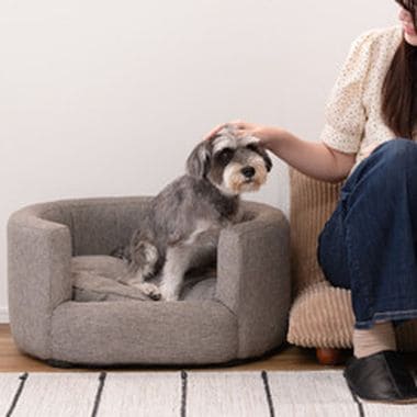 ペットソファ ソファ ペット用 ペット用品 ペット シンプル おしゃれ 北欧 愛犬 犬 猫 ドッグ キャット グレー アイボリー ファブリック 布地 クッション クッション取り外し カバーリングペットソファ グレー アイボリー