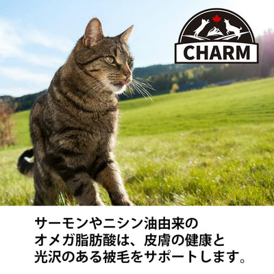 チャーム ラム＆サーモン キャット | チャーム CHARM ラム＆サーモン キャット 低アレルギー 猫用 キャットフード 正規品 毛玉コントロール 尿路ケア 高タンパク質 オメガ脂肪酸 被毛 筋肉 サポート