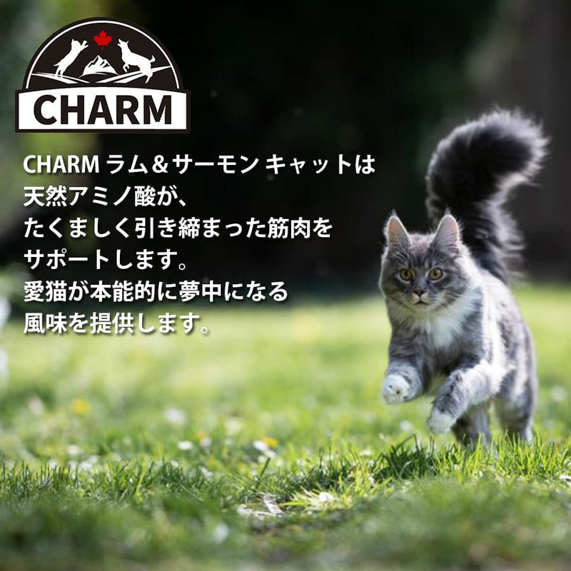 チャーム ラム＆サーモン キャット | チャーム CHARM ラム＆サーモン キャット 低アレルギー 猫用 キャットフード 正規品 毛玉コントロール 尿路ケア 高タンパク質 オメガ脂肪酸 被毛 筋肉 サポート