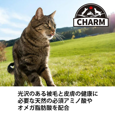 チャーム サーフ＆ターフ キャット | CHARM チャーム キャットフード キャット 正規品 サーフ＆ターフ 低アレルギー カリカリ 猫 毛玉コントロール 排尿器ケア 高たんぱく質 被毛 皮膚 サポート 必須アミノ酸 オメガ脂肪酸