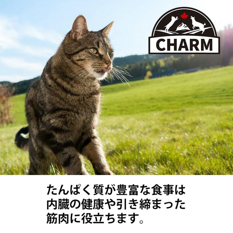 チャーム アダルトキャット | CHARM チャーム アダルトキャット キャットフード 正規品 猫用 カリカリ 低アレルギー性 尿路ケア 毛玉コントロール 動物性タンパク質 被毛 皮膚 サポート Non－GMO原材料 グレインフリー