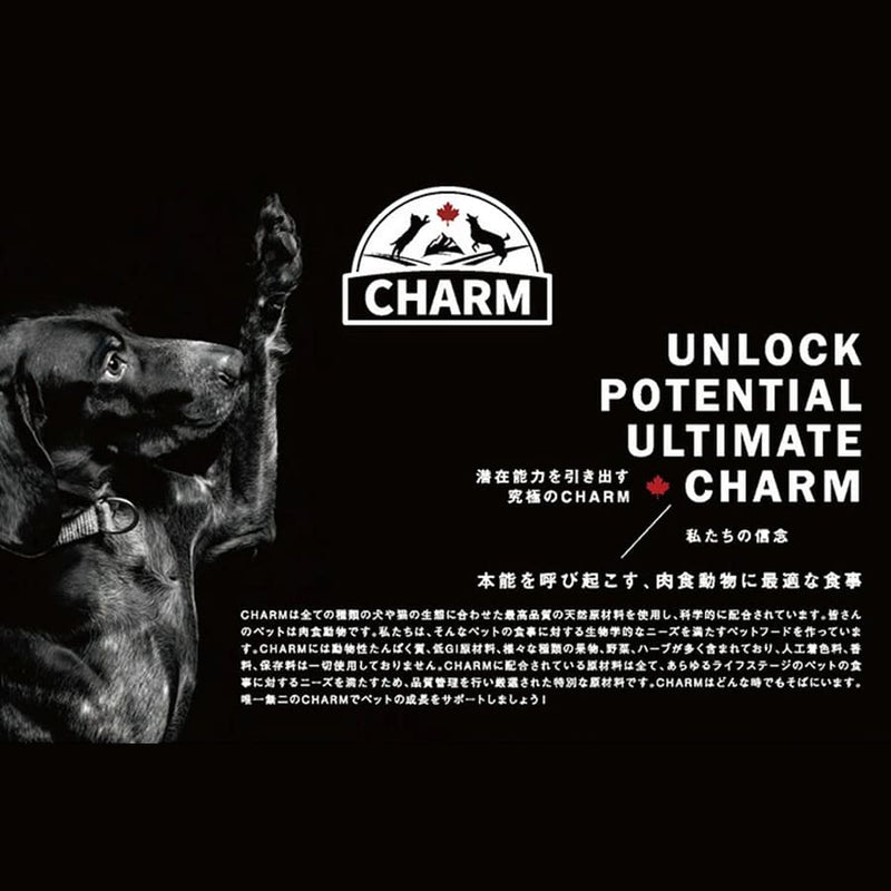 チャーム ラム＆サーモン ドッグ | CHARM チャーム ドッグフード ラム＆サーモンドッグ 正規品 犬 ドッグ 低アレルギー グレインフリー オメガ脂肪酸 泌尿器ケア Non-GMO原材料  穀物不使用 美味しい 高品質 筋肉 サポート