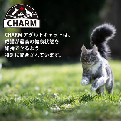 チャーム アダルトキャット | CHARM チャーム アダルトキャット キャットフード 正規品 猫用 カリカリ 低アレルギー性 尿路ケア 毛玉コントロール 動物性タンパク質 被毛 皮膚 サポート Non－GMO原材料 グレインフリー