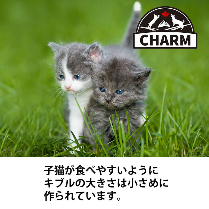 チャーム キトゥン | CHARM チャーム 正規品 キャットフード キトゥン 子猫 低アレルギー性 グレインフリー オメガ3脂肪酸 消化しやすい 皮膚 被毛 関節 泌尿器ケア サポート 毛玉ケア Non－GMO原材料 アミノ酸 健康