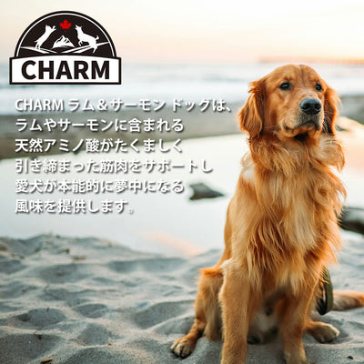 チャーム ラム＆サーモン ドッグ | CHARM チャーム ドッグフード ラム＆サーモンドッグ 正規品 犬 ドッグ 低アレルギー グレインフリー オメガ脂肪酸 泌尿器ケア Non-GMO原材料  穀物不使用 美味しい 高品質 筋肉 サポート