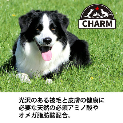 チャーム サーフ&ターフドッグ | CHARM チャーム 正規品 ドッグフード サーフ＆ターフ 犬用 低アレルギー 総合栄養食 全成長段階 たんぱく質 グレインフリー 必須アミノ酸 オメガ脂肪酸 Non－GMO原材料 被毛 皮膚 サポート 高品質 バランス 栄養豊富