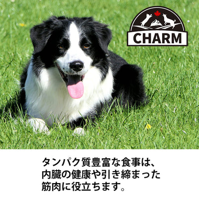 チャーム アダルトドッグ | CHARM チャーム 正規品 ドッグフード アダルトドッグ 犬 全犬種 穀物不使用 無添加 全ライフステージ アダルト 成犬用 低アレルギー ドライペットフード グレインフリー 動物性タンパク質 グルコサミン コンドロイチン プレバイオティクス