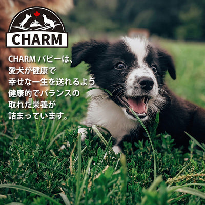 チャーム パピー ｢ワイルドペットフード｣ | CHARM チャーム 正規品 犬 いぬ イヌ ドッグフード パピー 総合栄養食 動物性たんぱく質 グレインフリー 低アレルギー Non－GMO原材料 オメガ3脂肪酸 穀物不使用 無添加 栄養豊富 筋肉 免疫系 サポート 子犬 鶏肉