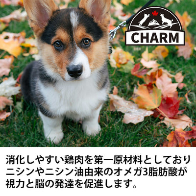 チャーム パピー ｢ワイルドペットフード｣ | CHARM チャーム 正規品 犬 いぬ イヌ ドッグフード パピー 総合栄養食 動物性たんぱく質 グレインフリー 低アレルギー Non－GMO原材料 オメガ3脂肪酸 穀物不使用 無添加 栄養豊富 筋肉 免疫系 サポート 子犬 鶏肉