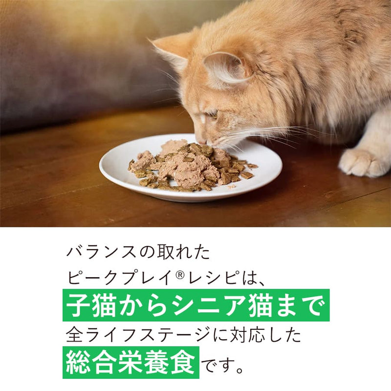 ジウィピーク キャット缶 チキン | ジウィピーク キャット缶 キャットフード ZiwiPeak 猫 ziwi ziwipeak チキン ウェットフード ジウィ 猫用 ZIWI グレインフリー 穀物不使用 猫缶 ニュージーランド 自然食 総合栄養食 食いつき抜群 正規品 缶詰 猫用総合栄養食 フリーレンジ