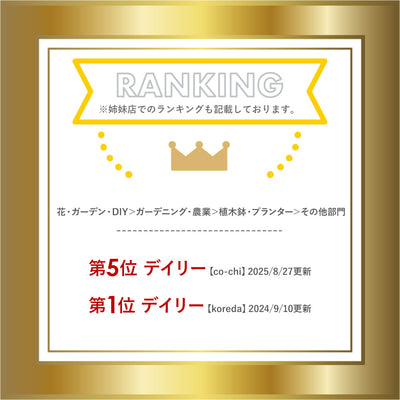 エディ ラウンド 黒 灰色 黒色 軽量 軽い 丸い ファイバーセメント プランター ポット 置物 おきもの 観葉植物 植物 植木鉢 鉢 外屋外 野外 シンプル 無地 石 セメント おすすめ オススメ 植木