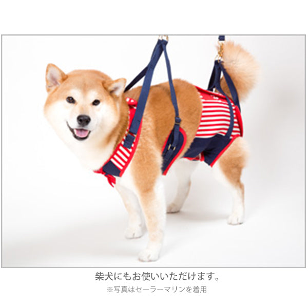 手乗りサイズのコーギーさん♪ 手乗りサイズのコーギーさん♪（7/16-24発送休止）