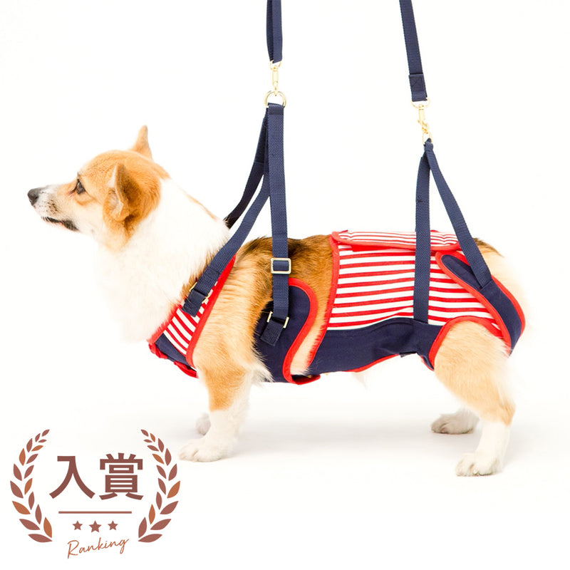 歩行補助 ハーネス コーギー用 セーラーマリン | 犬 ハーネス 介護 ペット コーギー 散歩 おでかけ 歩行サポート 愛犬 おしゃれ コーギー 中型犬 サイズ調整 胴巻き ラダーフレーム