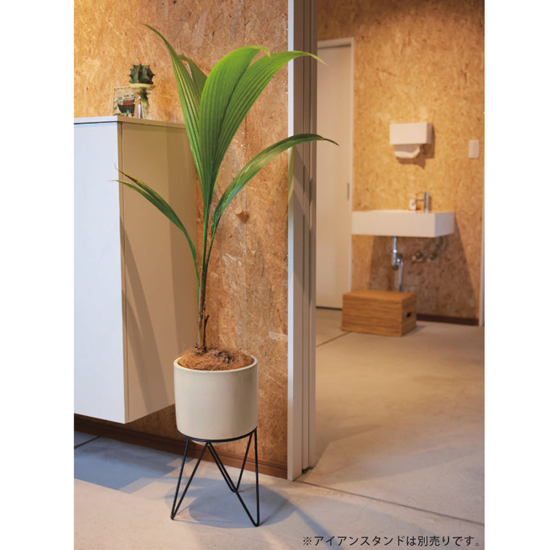 大型プランター 大型 大型ポット プランター 大きい インテリア 植木鉢 観葉植物 庭園 かわいい シンプル ポット 耐久性 軽い