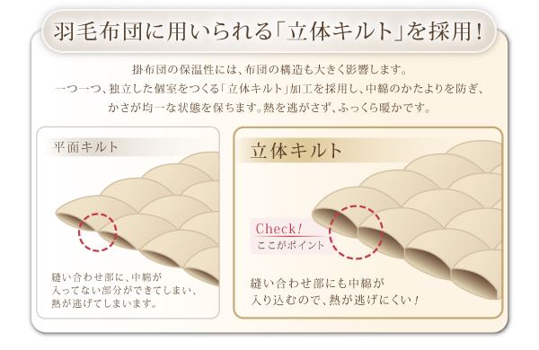 掛布団単品 クイーン | 掛布団 掛け布団 掛け 抗菌 防臭 高機能 あったか ホコリが出にくい 低アレルギー シンサレート入り アイボリー ブラック ブラウン ベージュ グレー