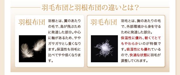 ベッドタイプ キング 羽毛布団10点セット グースダウン  掛布団 肌掛布団 敷パッド 枕 掛布団カバー ボックスシーツ 枕カバー アイボリー ブラック ブラウン ベージュ グレー 9色から選べる