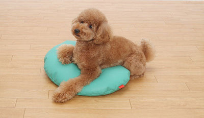 Sサイズ 床ずれ防止・防水クッション 介護 クッション 寝たきり 床ずれ 清潔 安全 老犬 クリニック
