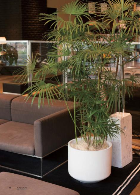 鉢・プランター m タカショー 鉢 プランター ポット 天然 木 ガーデニング 菜園