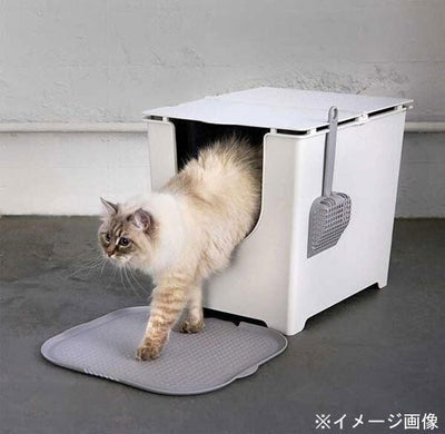 スコップ 商品番号Mo-fLP104専用 スコップ 猫用トイレ 猫 ねこ ネコ ペット ペット用品 スタイリィッシュ 高機能 シンプル かわいい ナチュラル モダン