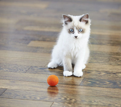 MEYOU THE TOYS ペット ペット用品 小型犬 猫 ねこ ネコ おしゃれ シンプル デザイナーズ かわいい 人気 おすすめ 北欧 ナチュラル おもちゃボール 猫用おもちゃ 猫用ボール