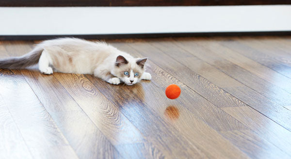 MEYOU THE TOYS ペット ペット用品 小型犬 猫 ねこ ネコ おしゃれ シンプル デザイナーズ かわいい 人気 おすすめ 北欧 ナチュラル おもちゃボール 猫用おもちゃ 猫用ボール