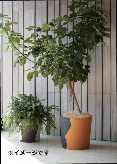 ガーデンポット M ガーデンポット ポット 鉢 植木鉢 プランターカバー 植物 おしゃれ カフェ風 ガーデニング