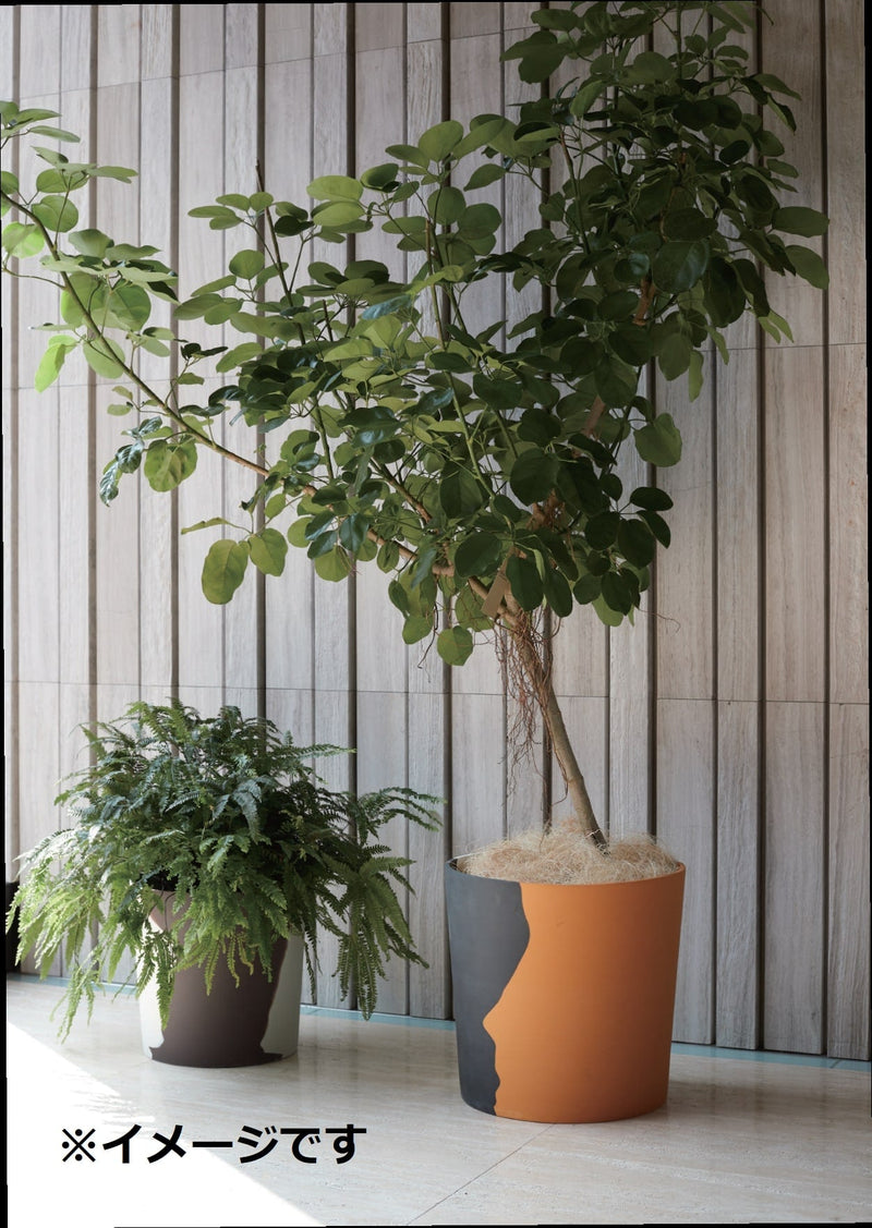 ガーデンポット M ガーデンポット ポット 鉢 植木鉢 プランターカバー 植物 おしゃれ カフェ風 ガーデニング